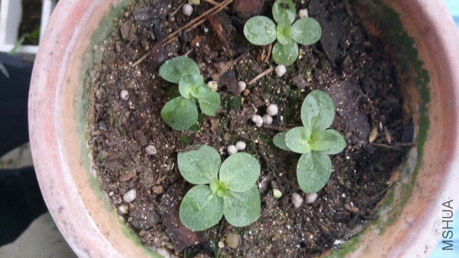 ΢��ͼƬ_20170607201039.jpg