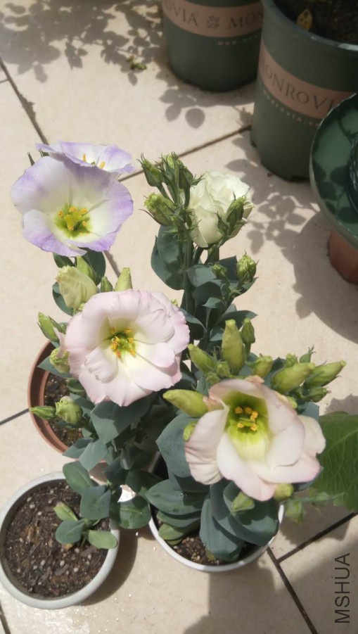 ΢��ͼƬ_20170607201057.jpg