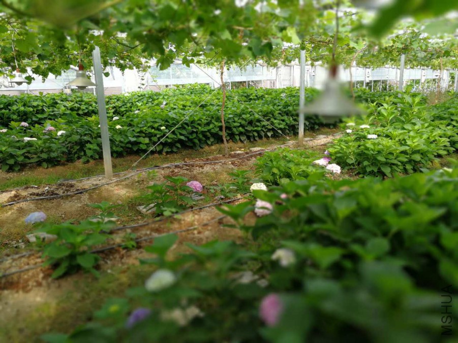 ΢��ͼƬ_20170609145015.jpg