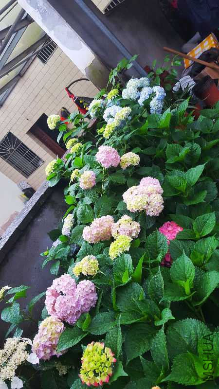 20170523_180052-01.jpeg