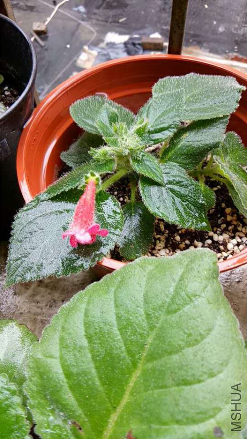 ΢��ͼƬ_20170613135039.jpg