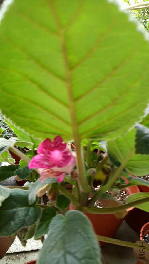 ΢��ͼƬ_20170613135054.jpg