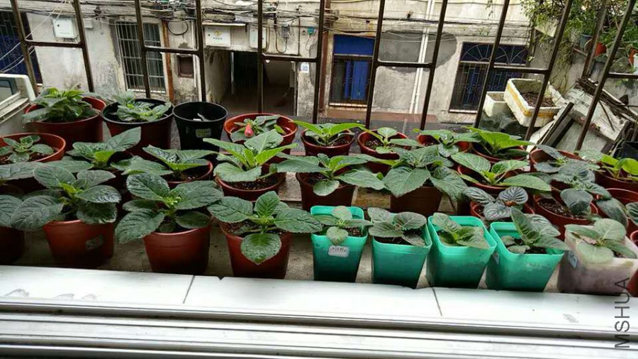 ΢��ͼƬ_20170613135128.jpg