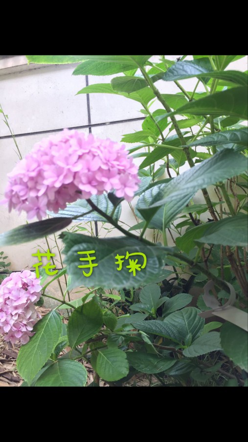 461473014B302545D9AF467374770E9C.png