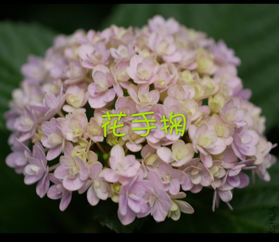 1A08A69C9567061B424D029305EC9AE6.png