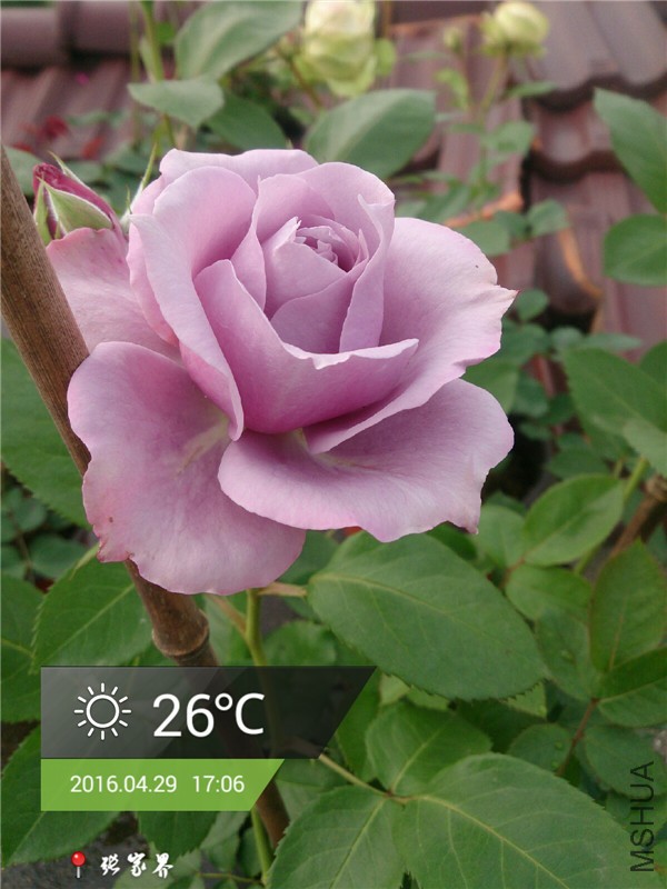 ŵ��01.jpg