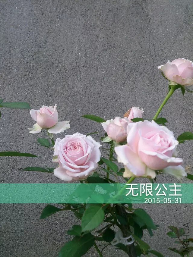 ���޹���.jpg