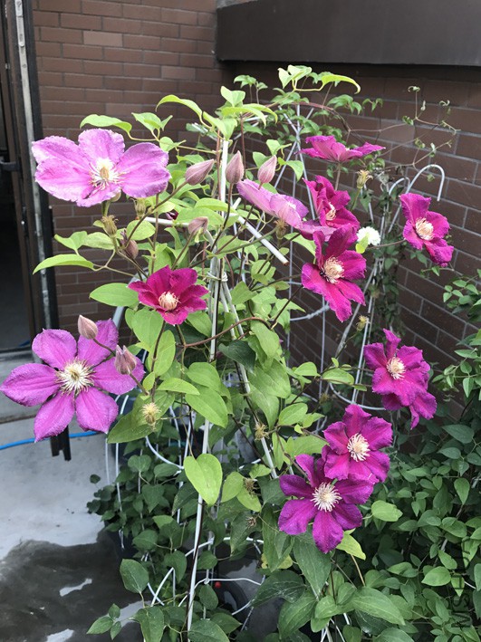 ��������