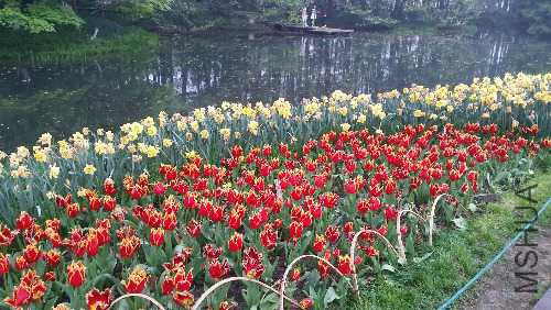 20170406_154802.jpg