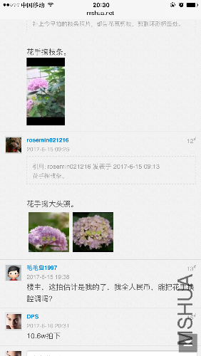 IMG_4408.PNG