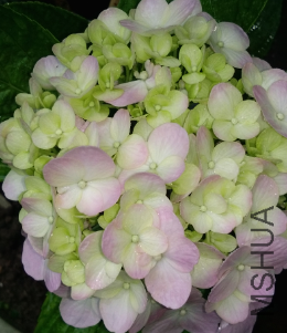 ��*O_20170617_163649.png