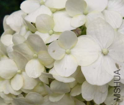 ��*O_20170617_163725.png