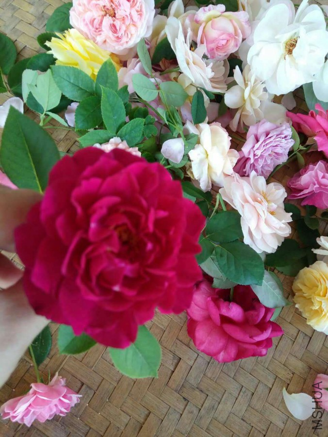 ΢��ͼƬ_20170617192904.jpg