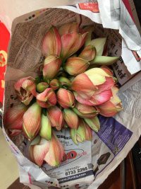 psb (33).jpg