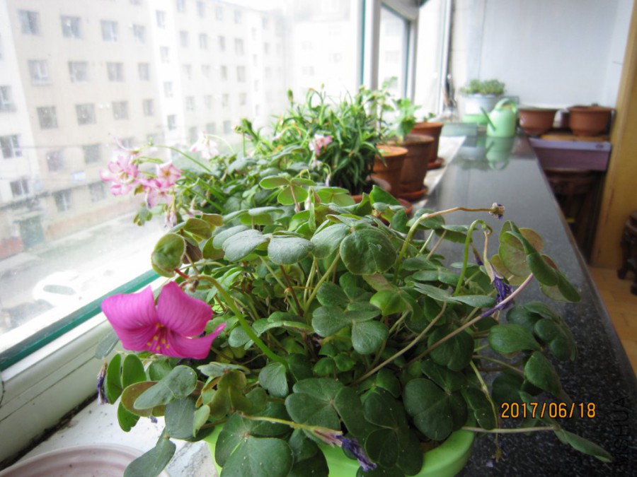 IMG_0003_1024x768.JPG