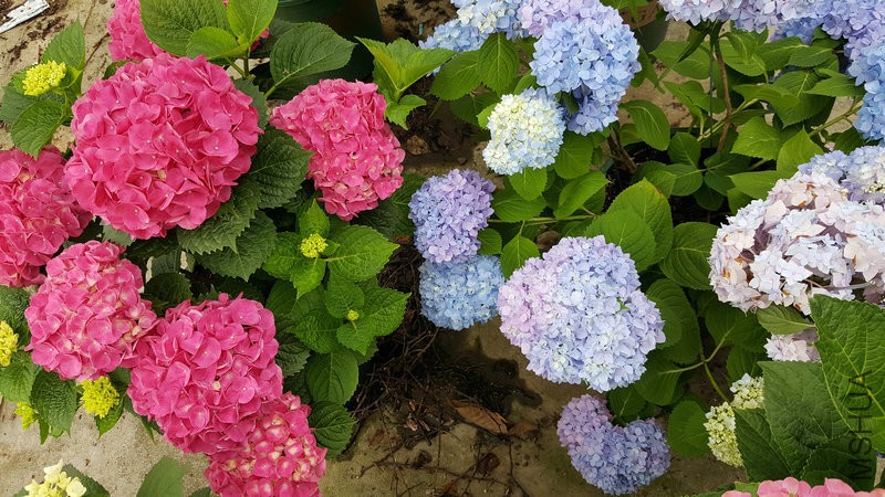 20170524_111442.jpg