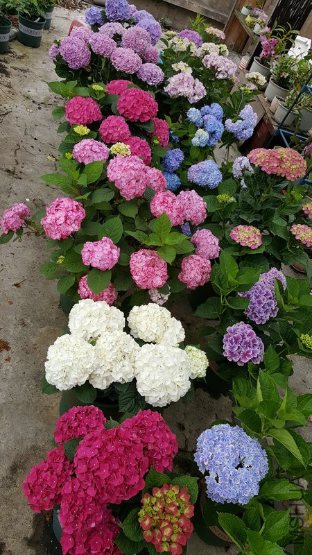 20170524_111856.jpg