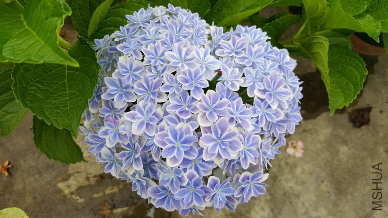 20170524_110844.jpg