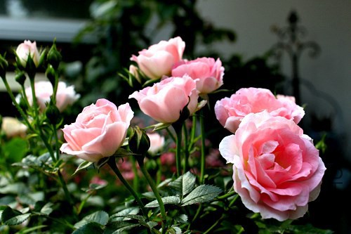 ���� ����Ŀ������� �� ���������ǻ��� ���������� 