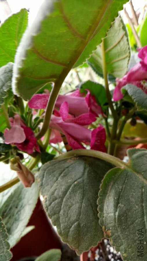 ΢��ͼƬ_20170623122110.jpg