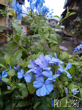 P70618-070412.jpg