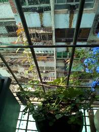 IMG_20170624_095927_044.jpg.JPG