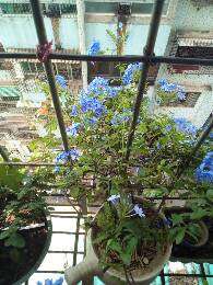 IMG_20170624_095936_529.jpg.JPG