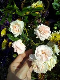 IMG_20170624_101411_295.jpg.JPG