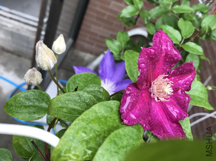 ��������