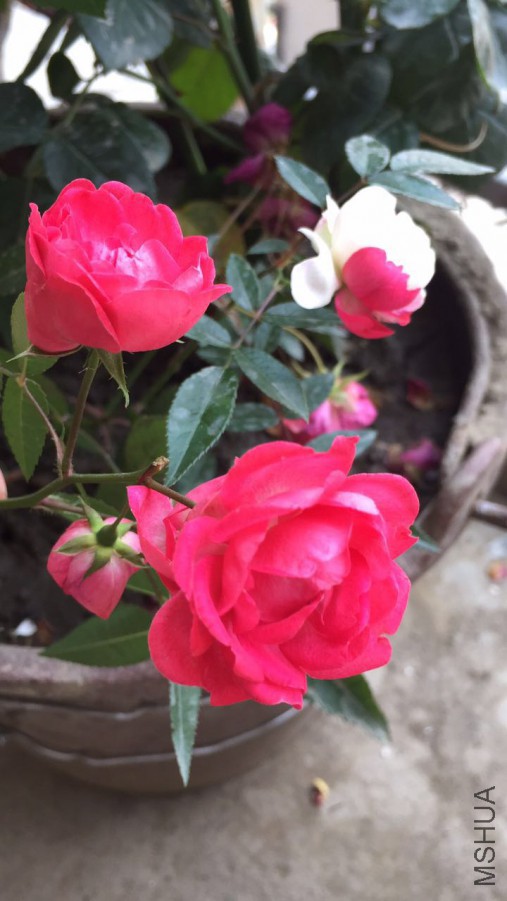 ΢��ͼƬ_20170626102720.jpg