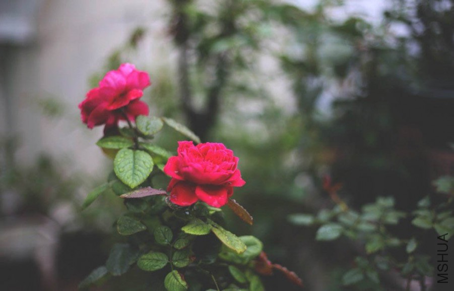 122326djjli0v6v50w55hi.jpg