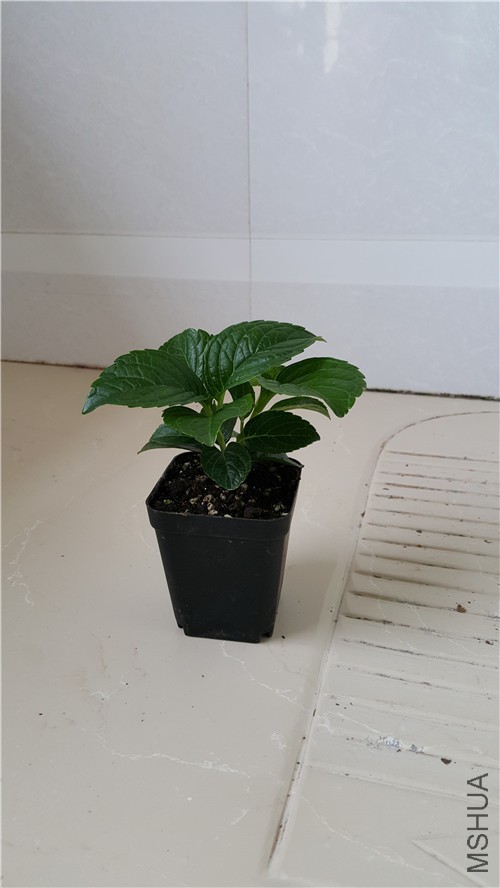 20170627_150913_����.jpg
