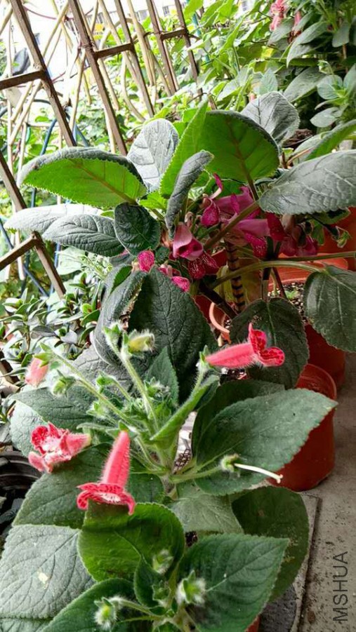 ΢��ͼƬ_20170629092819.jpg