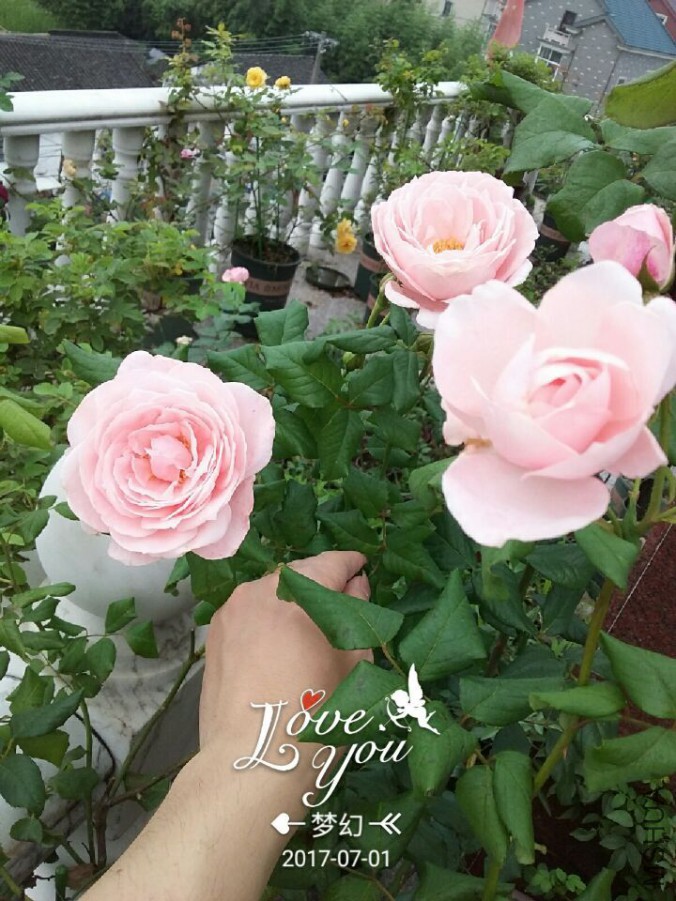 QQͼƬ20170701093339.jpg