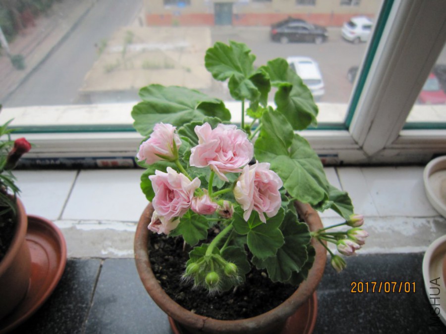 IMG_0003_1024x768.JPG