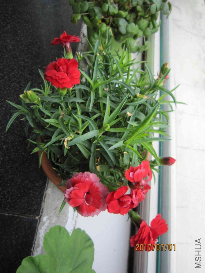 IMG_0011_1024x768.JPG