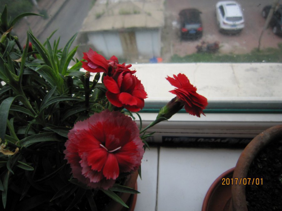 IMG_0013_1024x768.JPG
