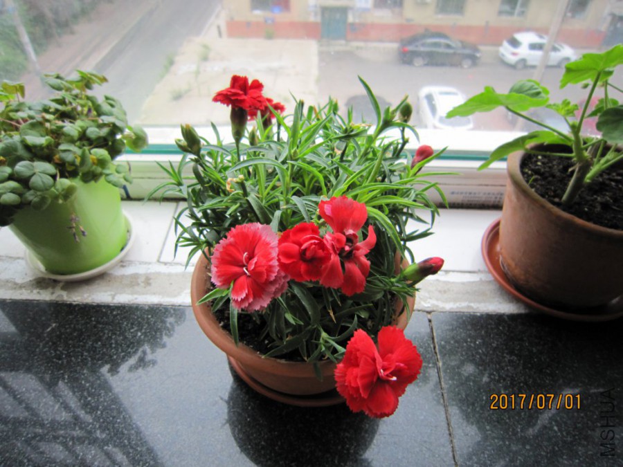 IMG_0015_1024x768.JPG