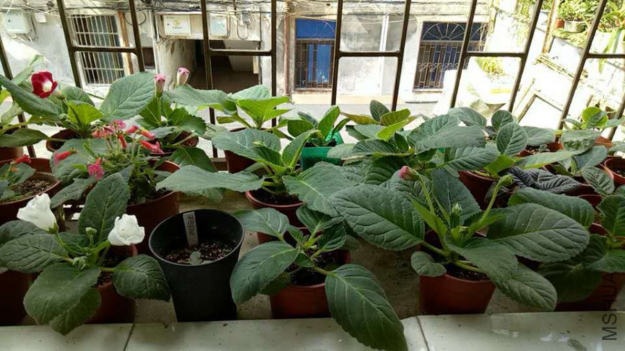 ΢��ͼƬ_20170702084833.jpg