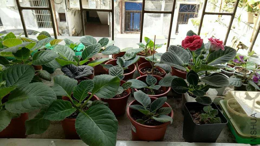 ΢��ͼƬ_20170702084838.jpg