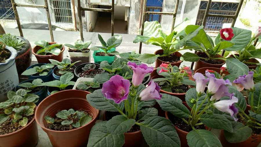 ΢��ͼƬ_20170702084843.jpg