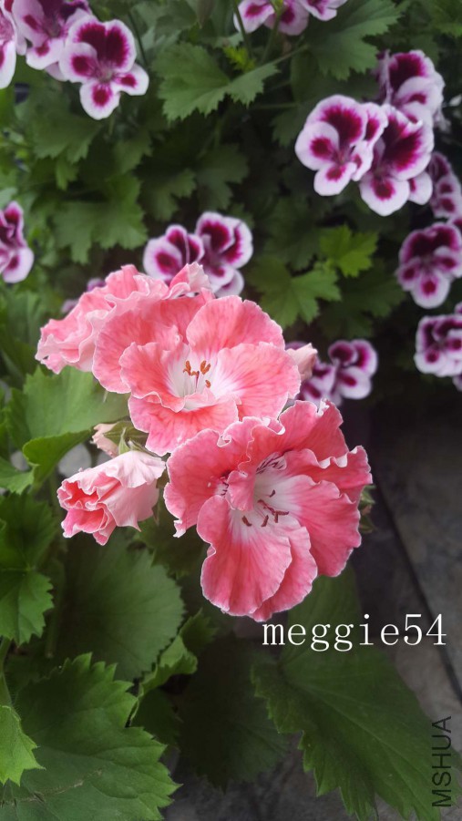 20170507_124304.jpg