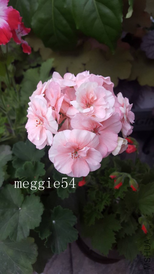 20170622_183327.jpg