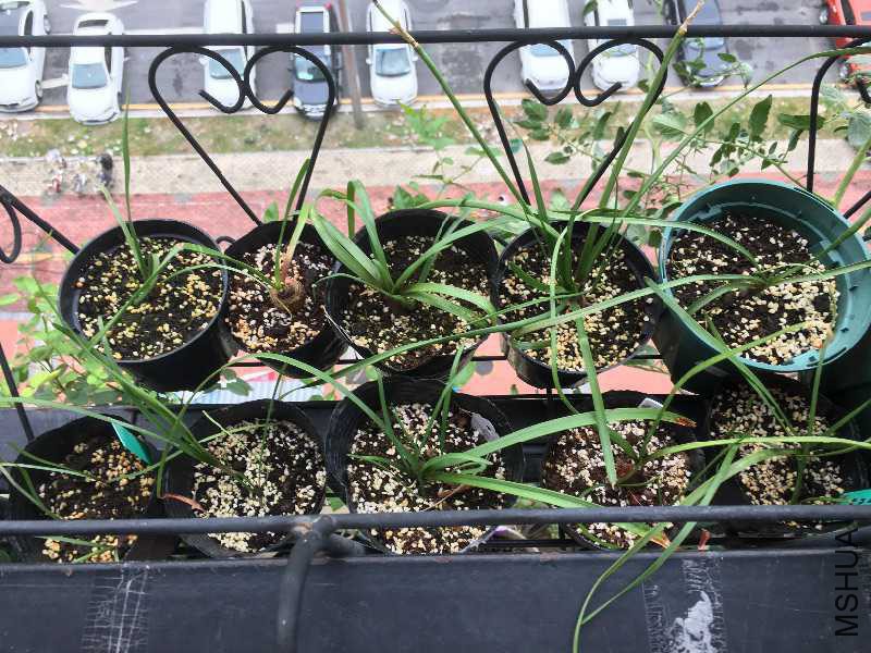 �ϱ�һ�Ŷ��ǿ������¼��£�����õ�壬���죬������С���Σ����±ߣ��¼��²��򣬷ۺ챪���򡢷ۺ챪���� ...