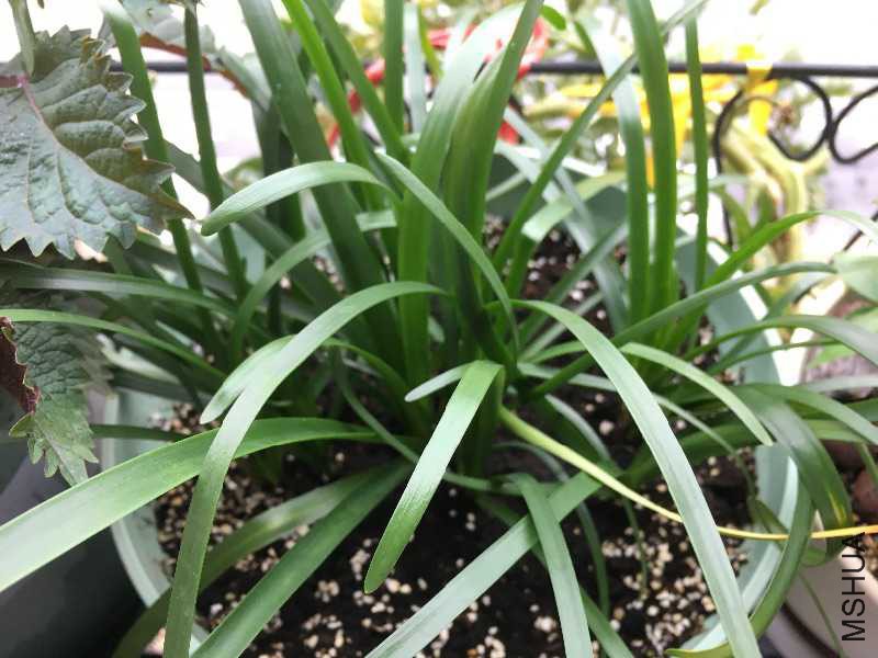 ��һ����������1����+2�д���