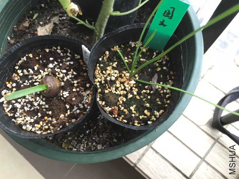 �ҳϵ������͹�������