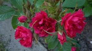 th (3).jpg