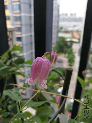 IMG_20170708_100048.jpg