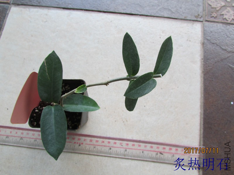 IMG_265103.jpg