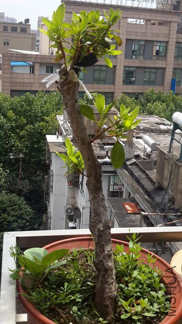 20170713_105143.jpg